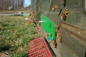 "Ruszyła maszyna po szynach..."