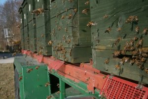 To już czas na przeprowadzkę 